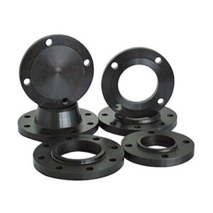 CS Flange Manufacturer